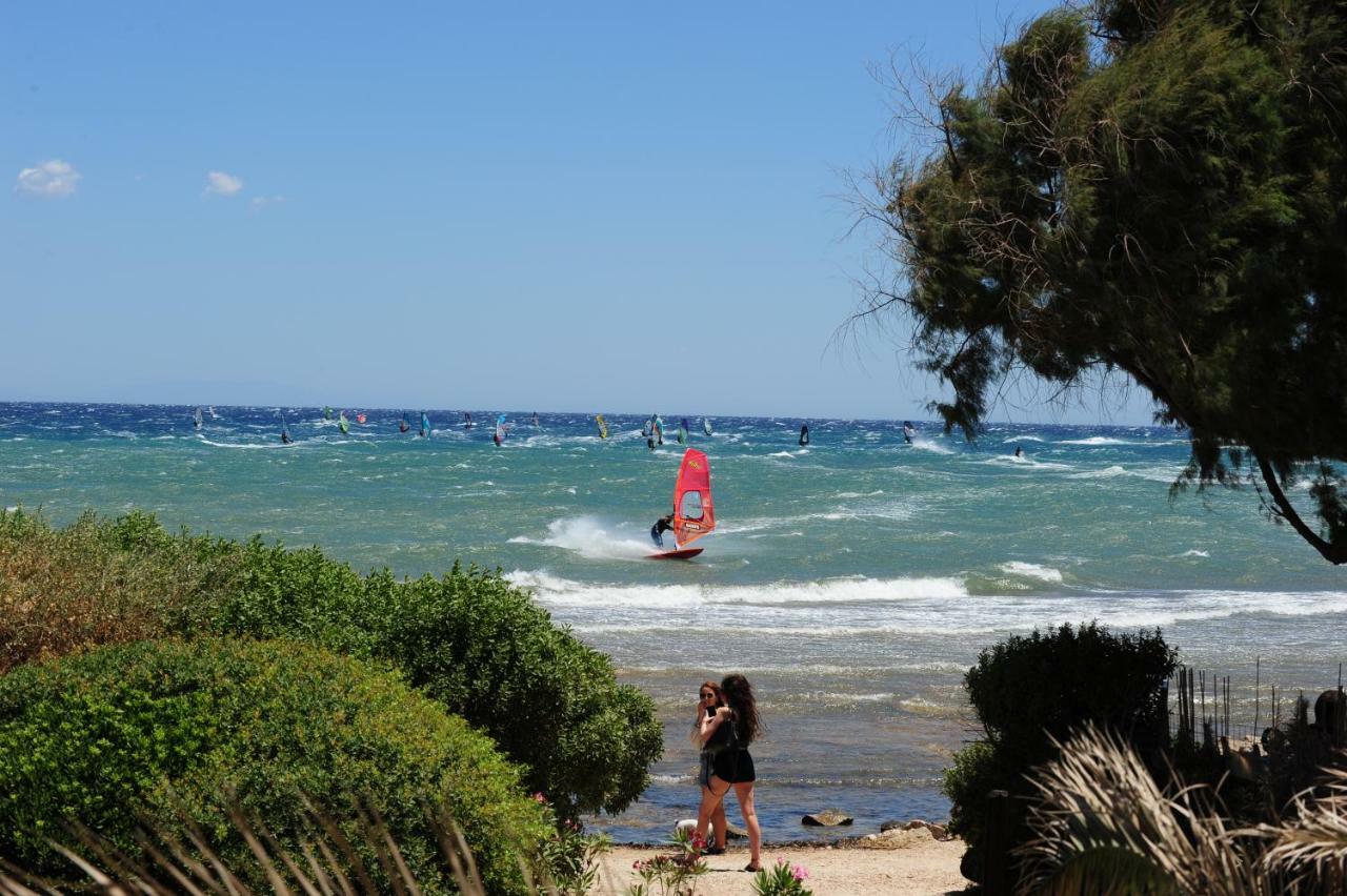 Windsurfing Seaside Apartment Artemida Exteriör bild